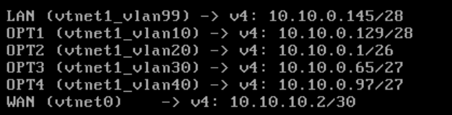 opnsense_ip_config.png