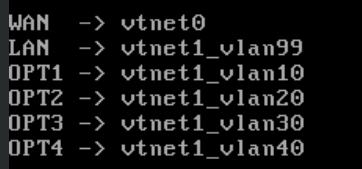opnsense_vlan_config.png