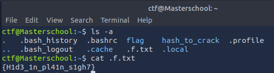 file_system_flag_2.png