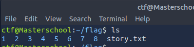 file_system_flag_3_1.png